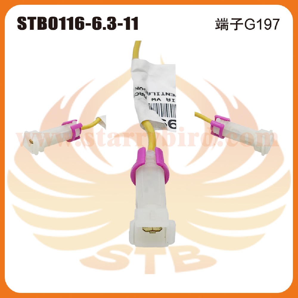STB0116-6.3-11