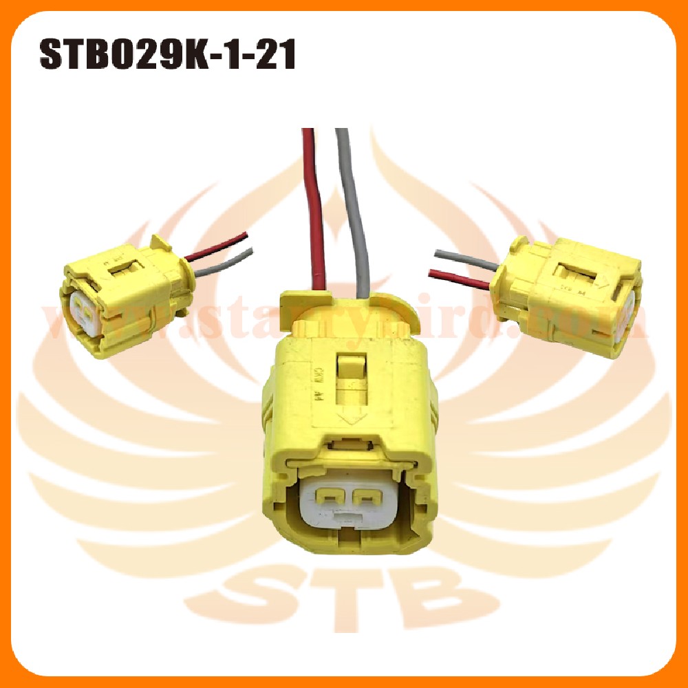 STB029K-1-21