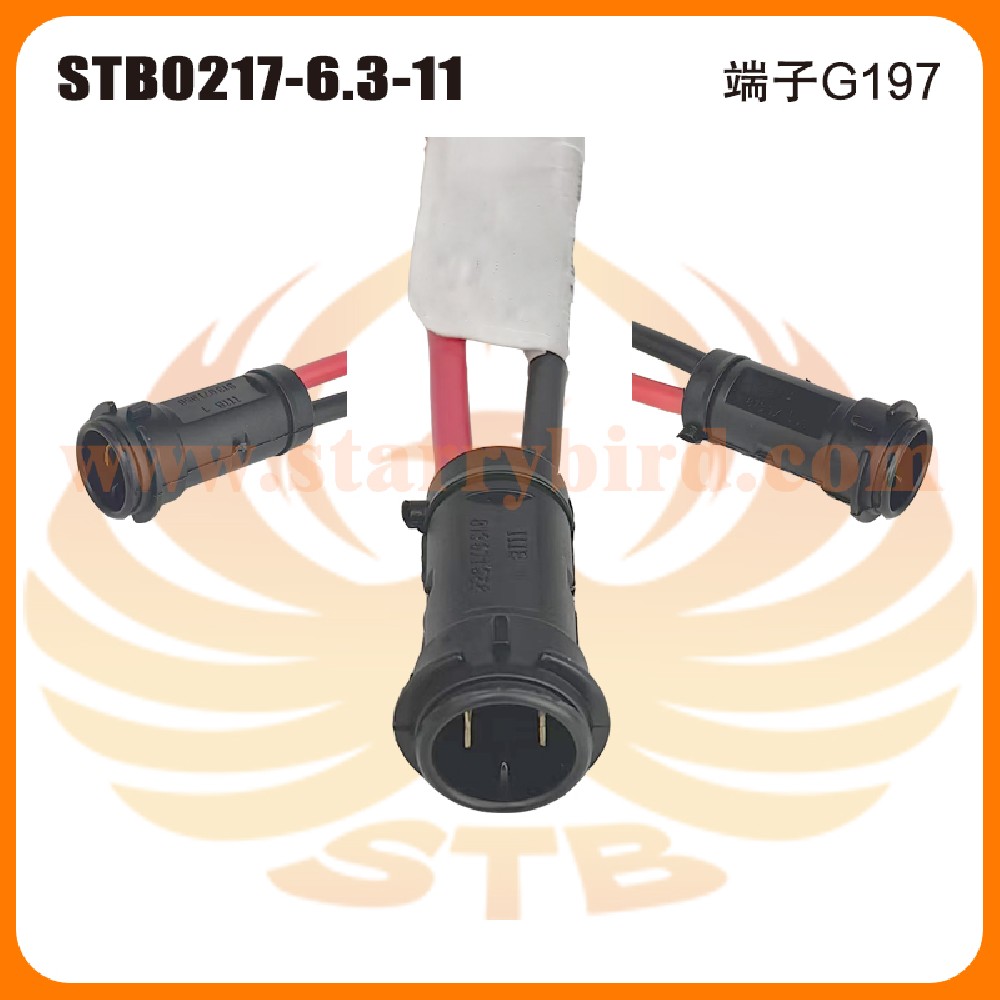 STB0217-6.3-11