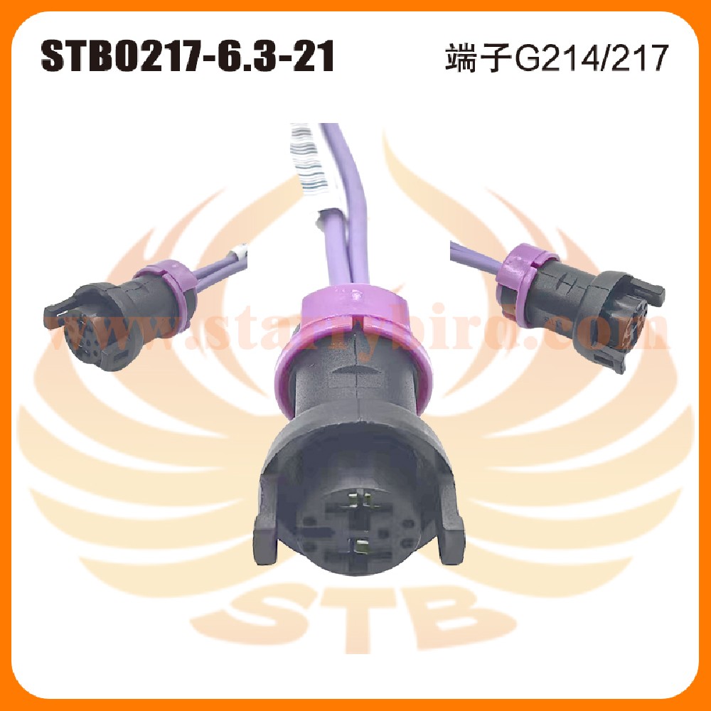 STB0217-6.3-21