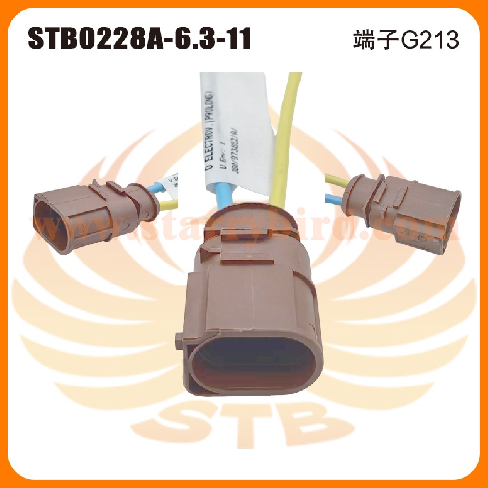 STB0228A-6.3-11