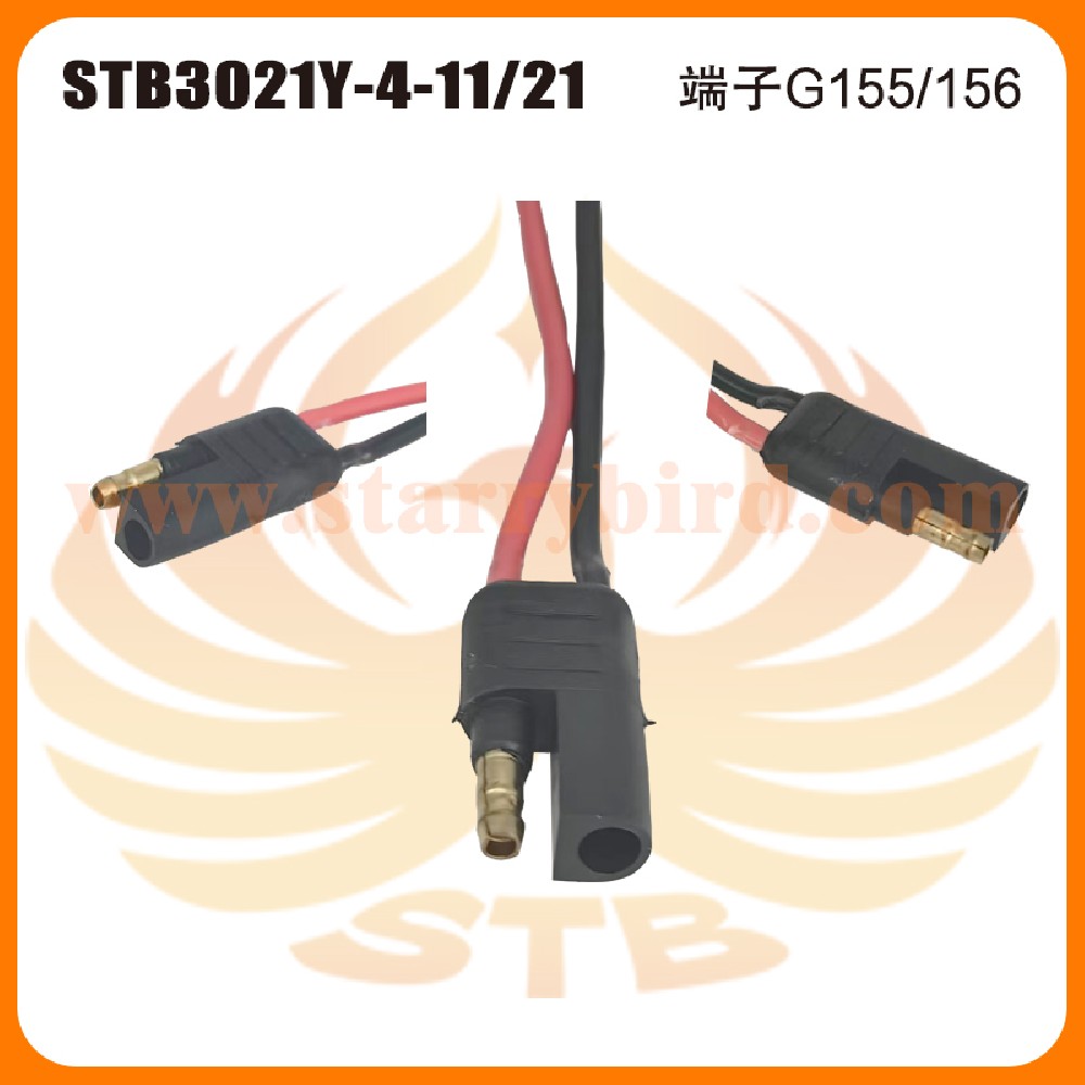 STB3021Y-4-11/21