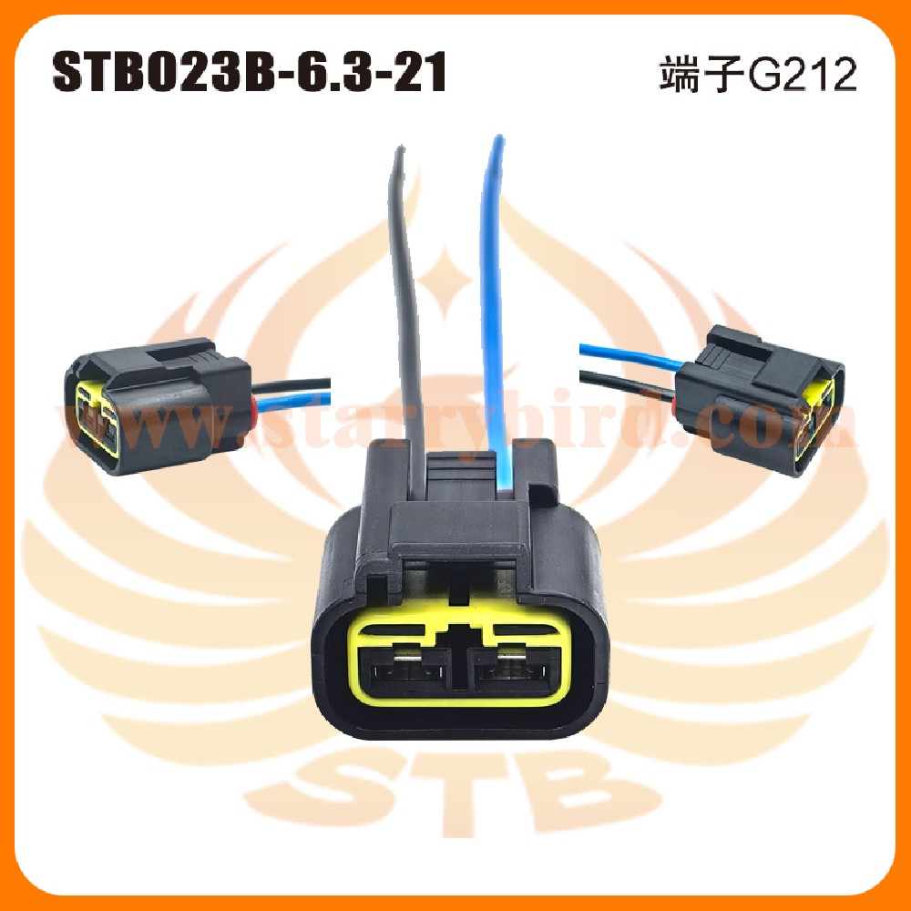 STB023B-6.3-21