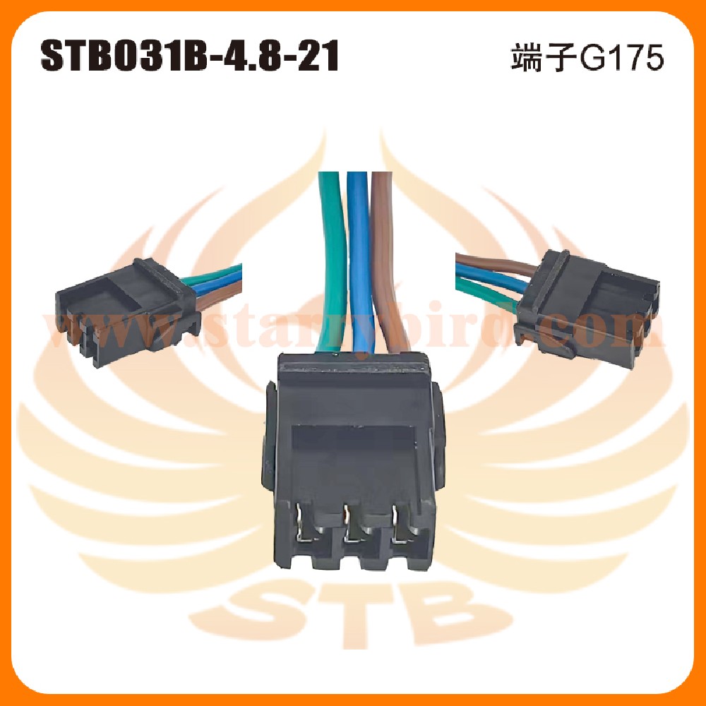 STB031B-4.8-21