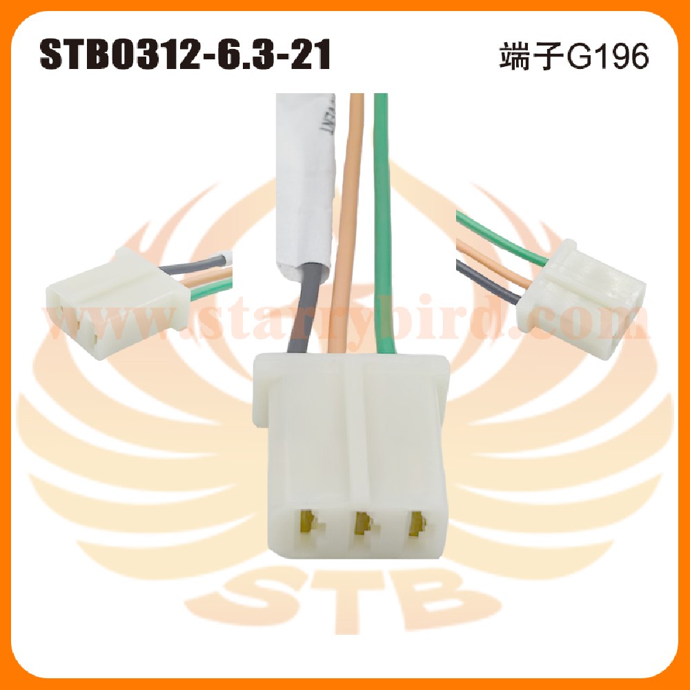 STB0312-6.3-21