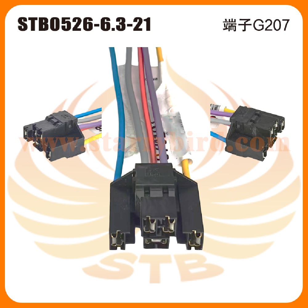 STB0526-6.3-21