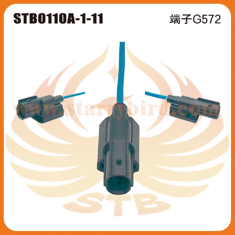 STB0110A-1-11