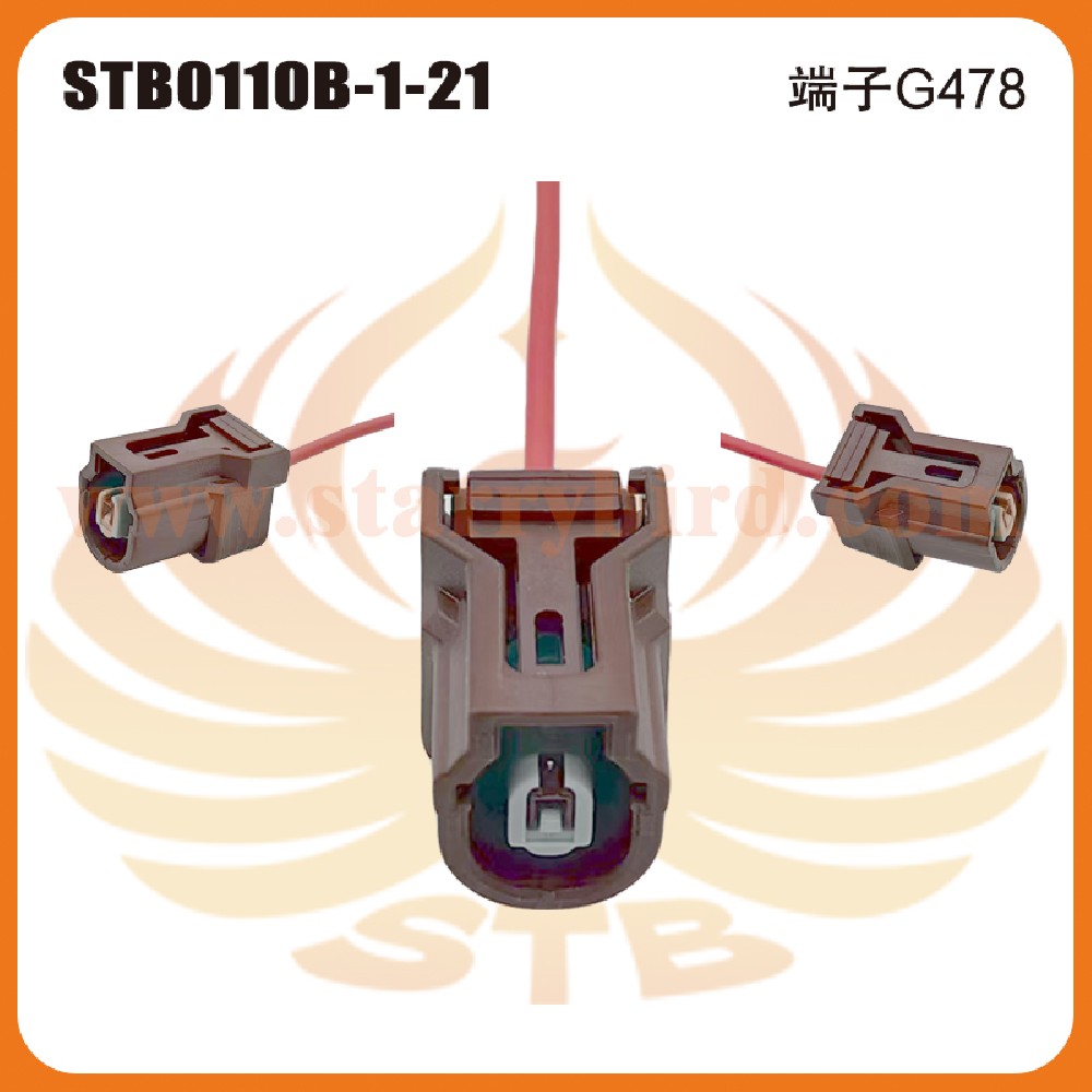 STB0110B-1-21