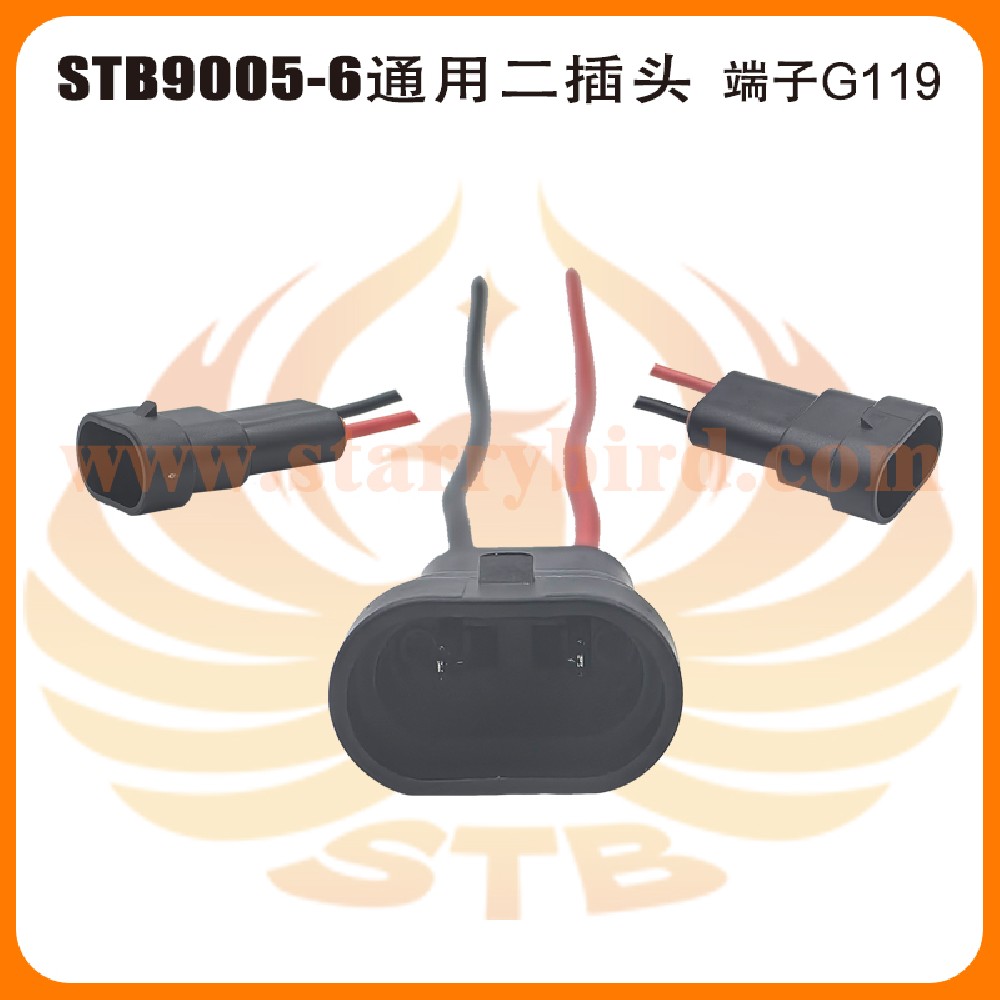 STB9005-6通用二插头