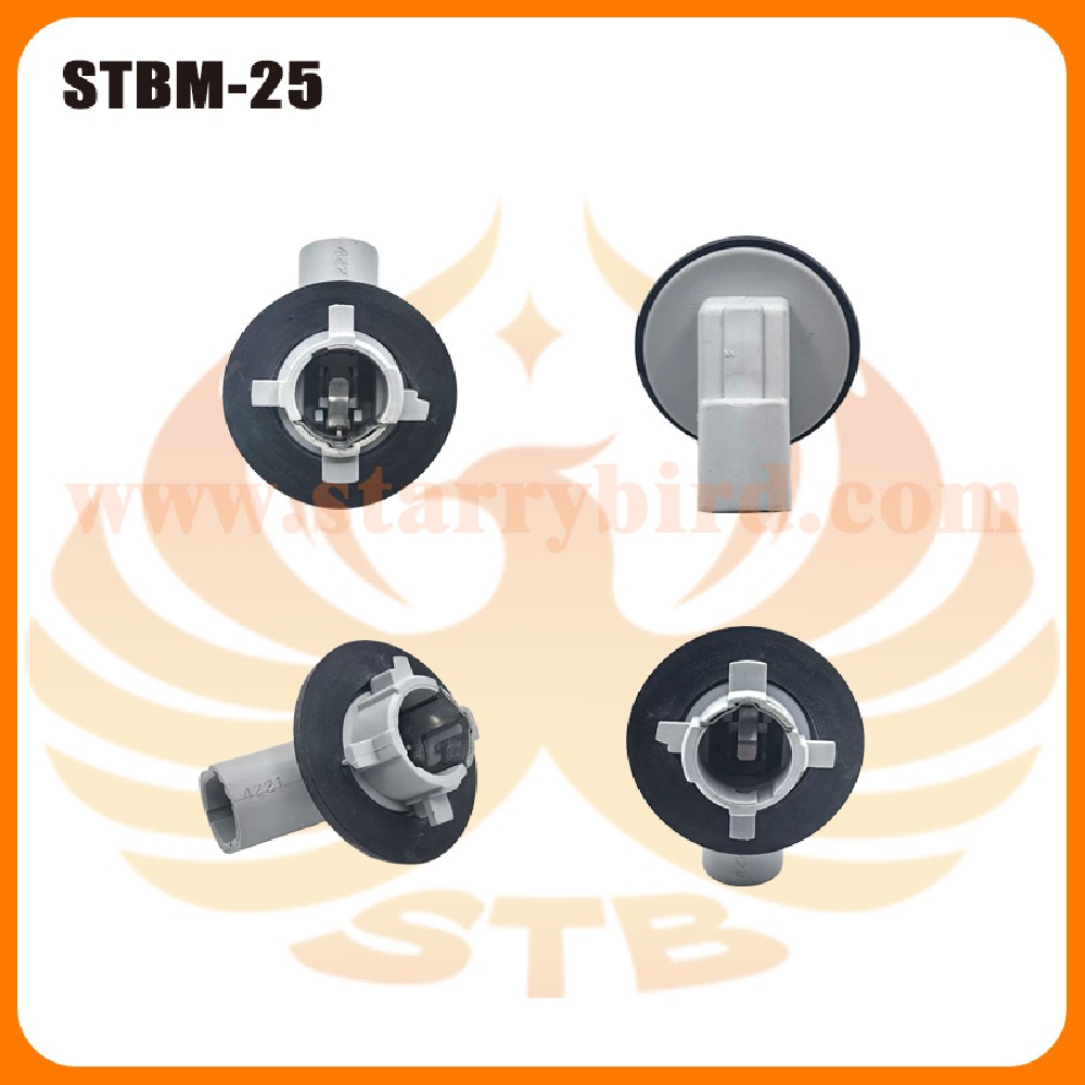 STBM-25