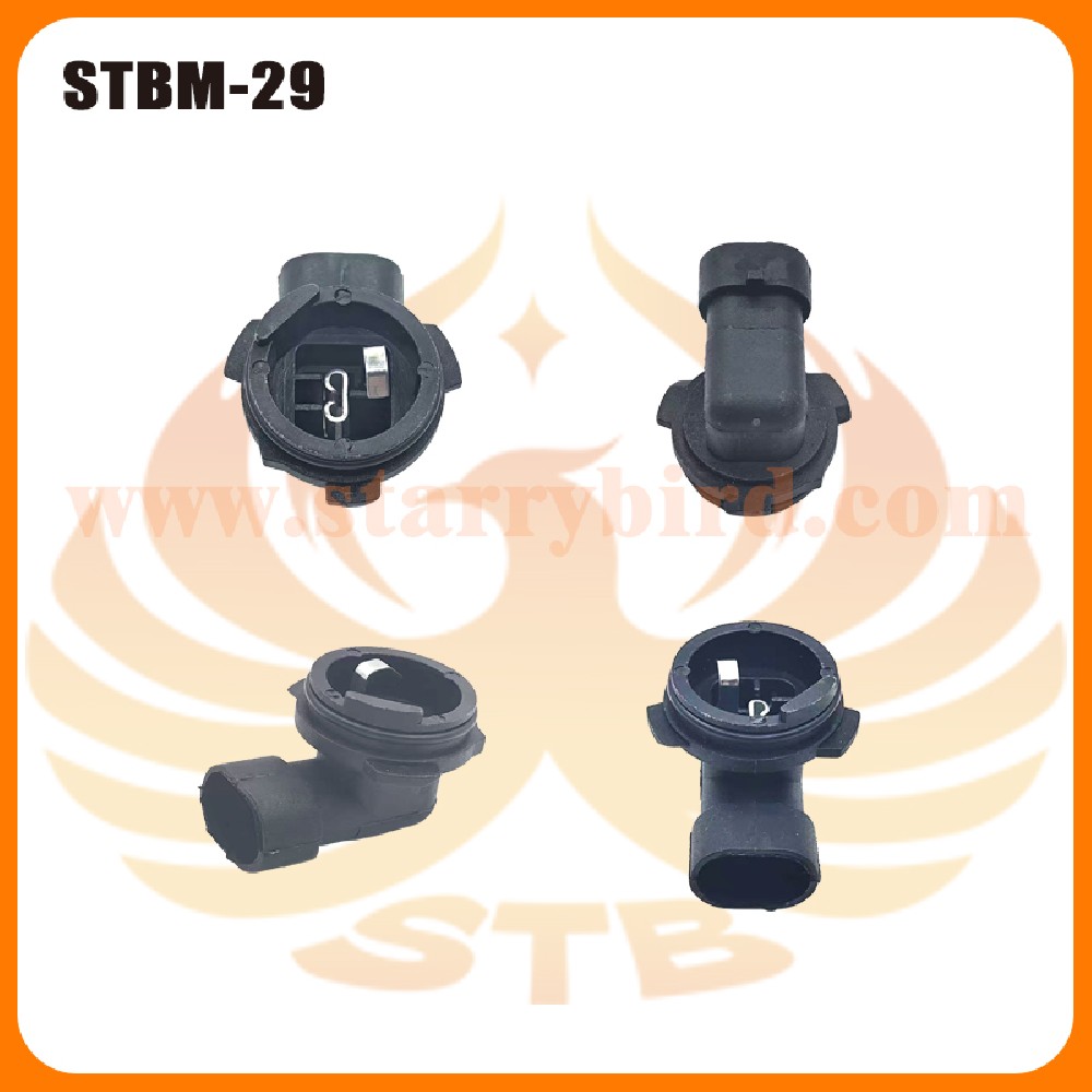 STBM-29