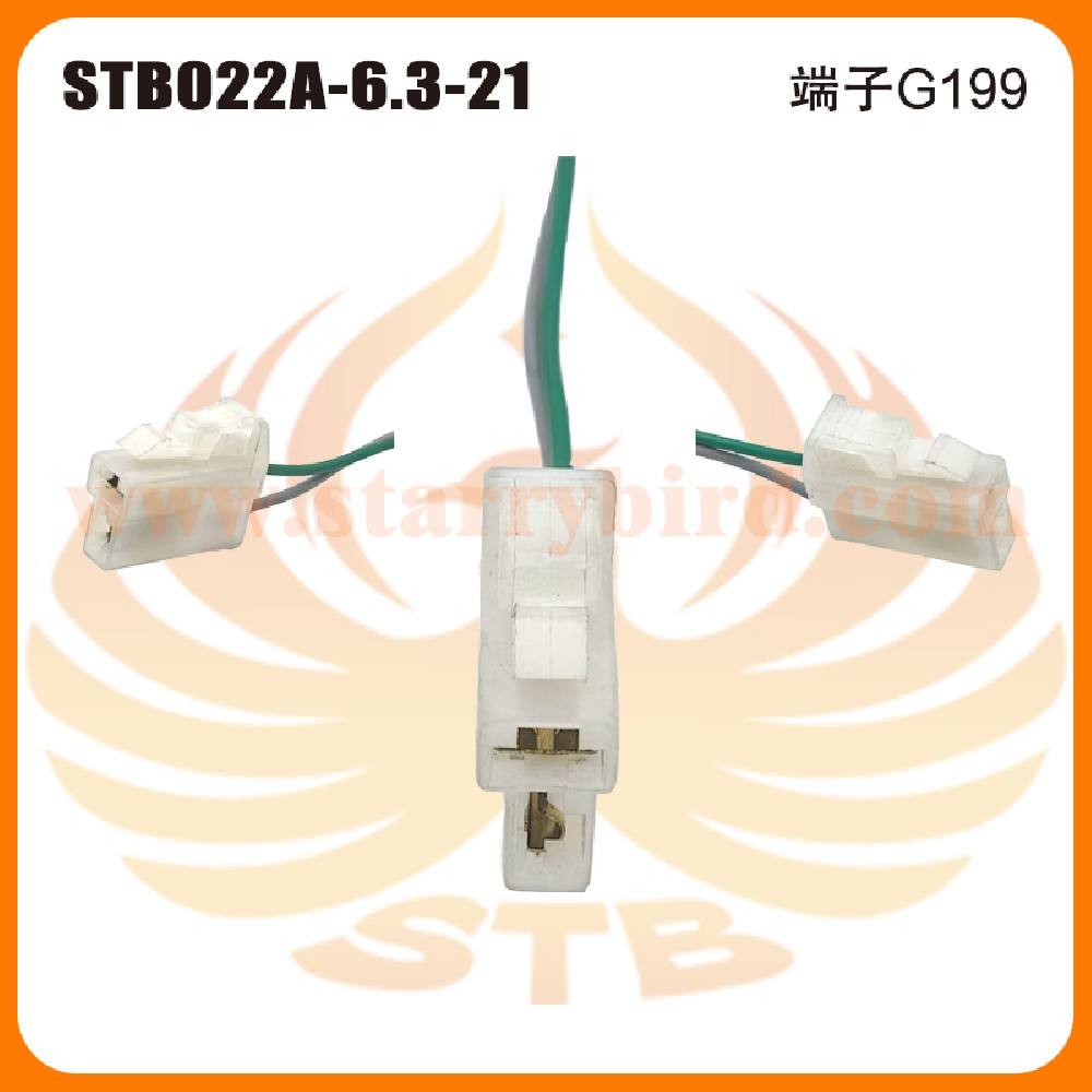 STB022A-6.3-21