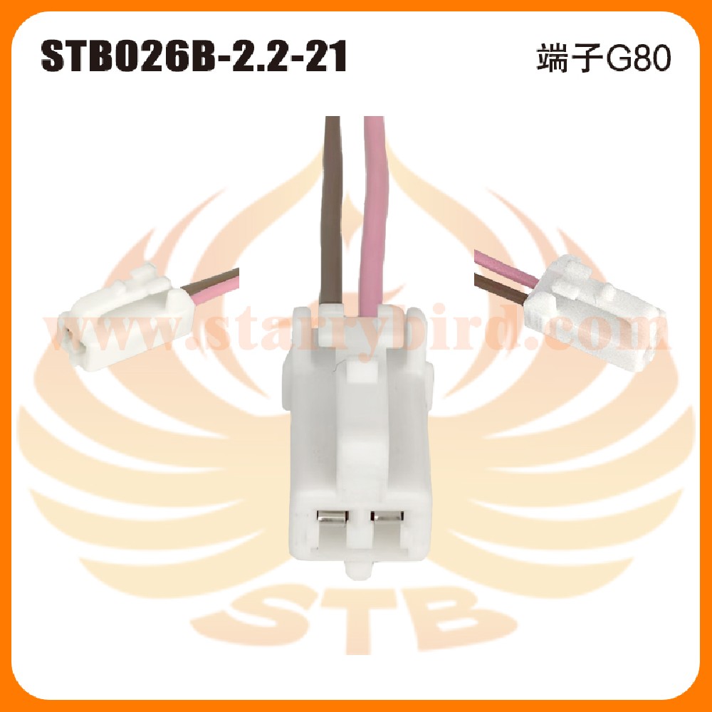 STB026B-2.2-21