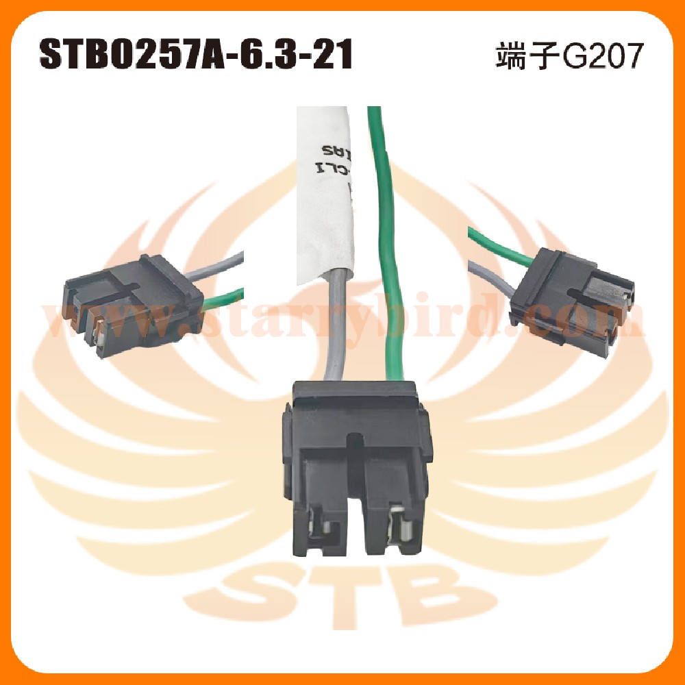 STB0257A-6.3-21
