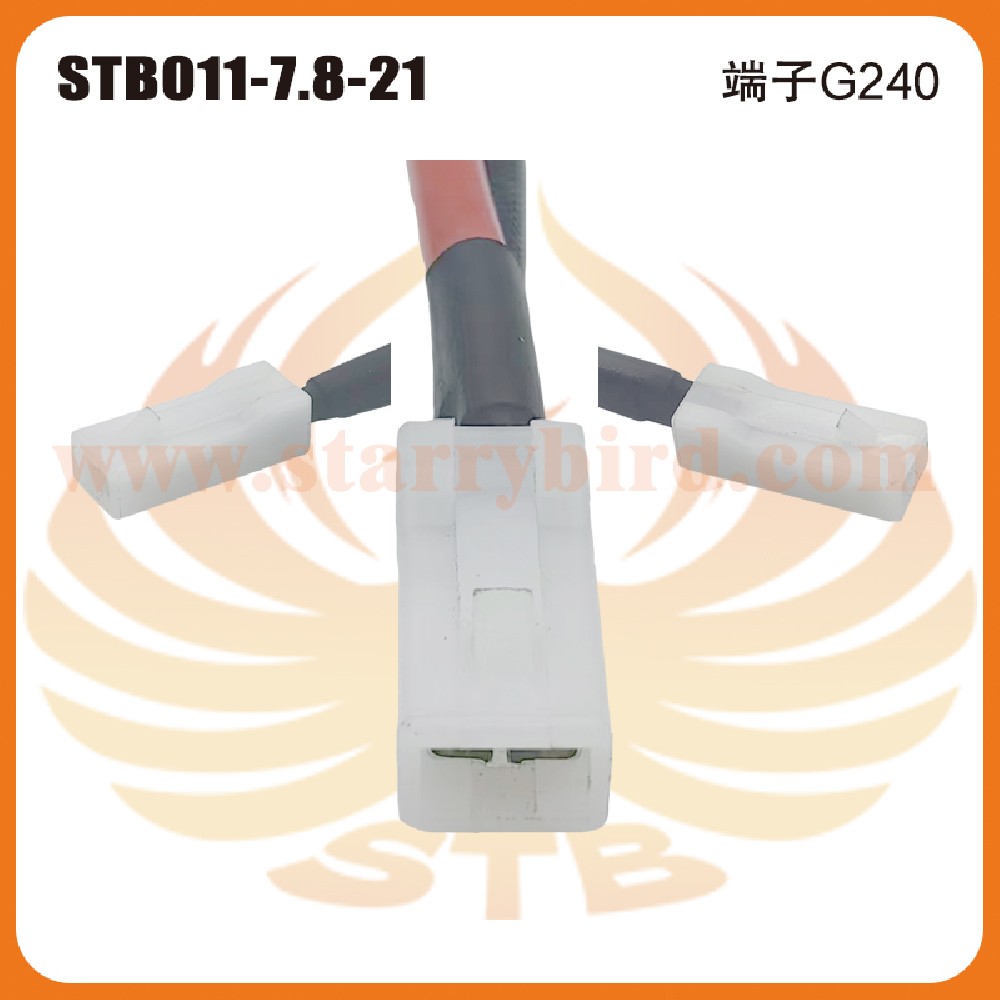 STB011-7.8-21