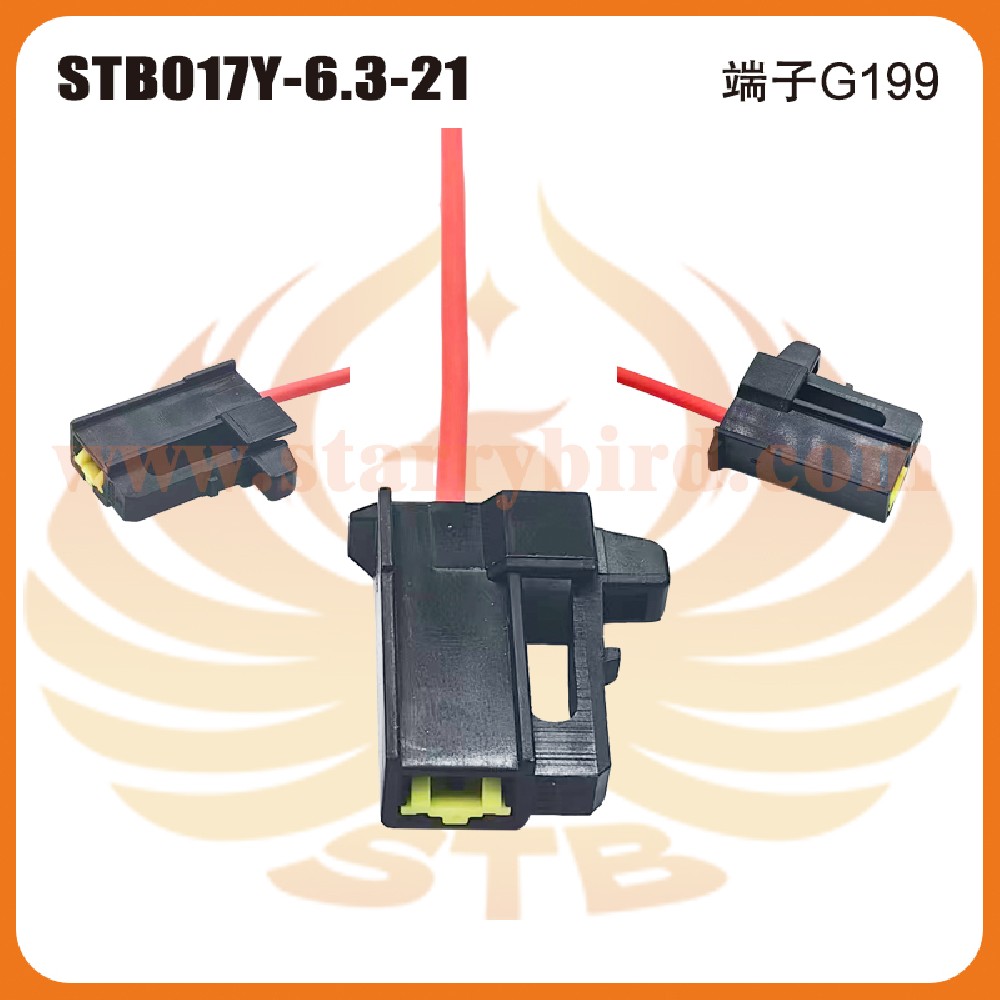 STB017Y-6.3-21