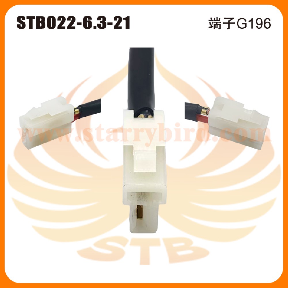 STB022-6.3-21