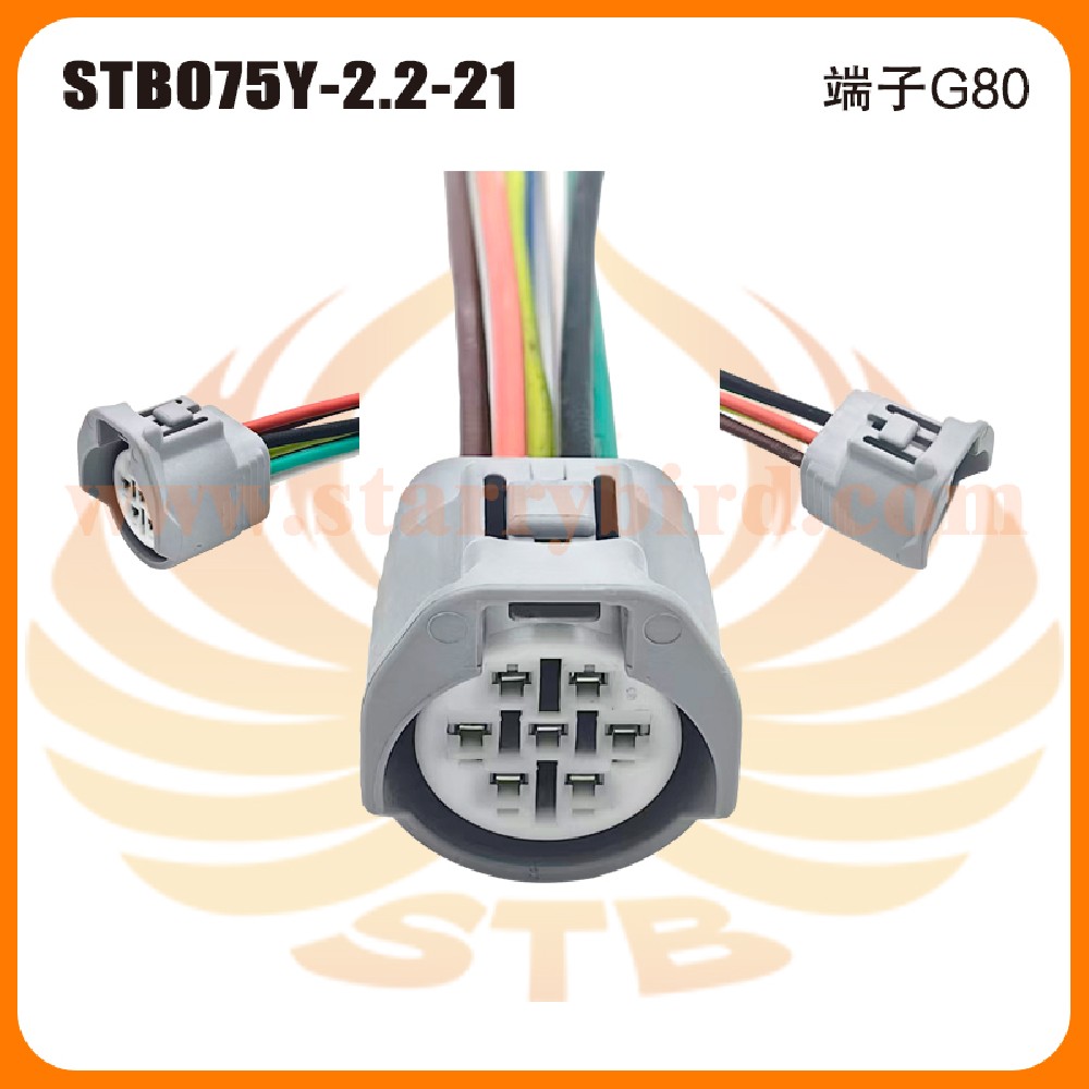 STB075Y-2.2-21