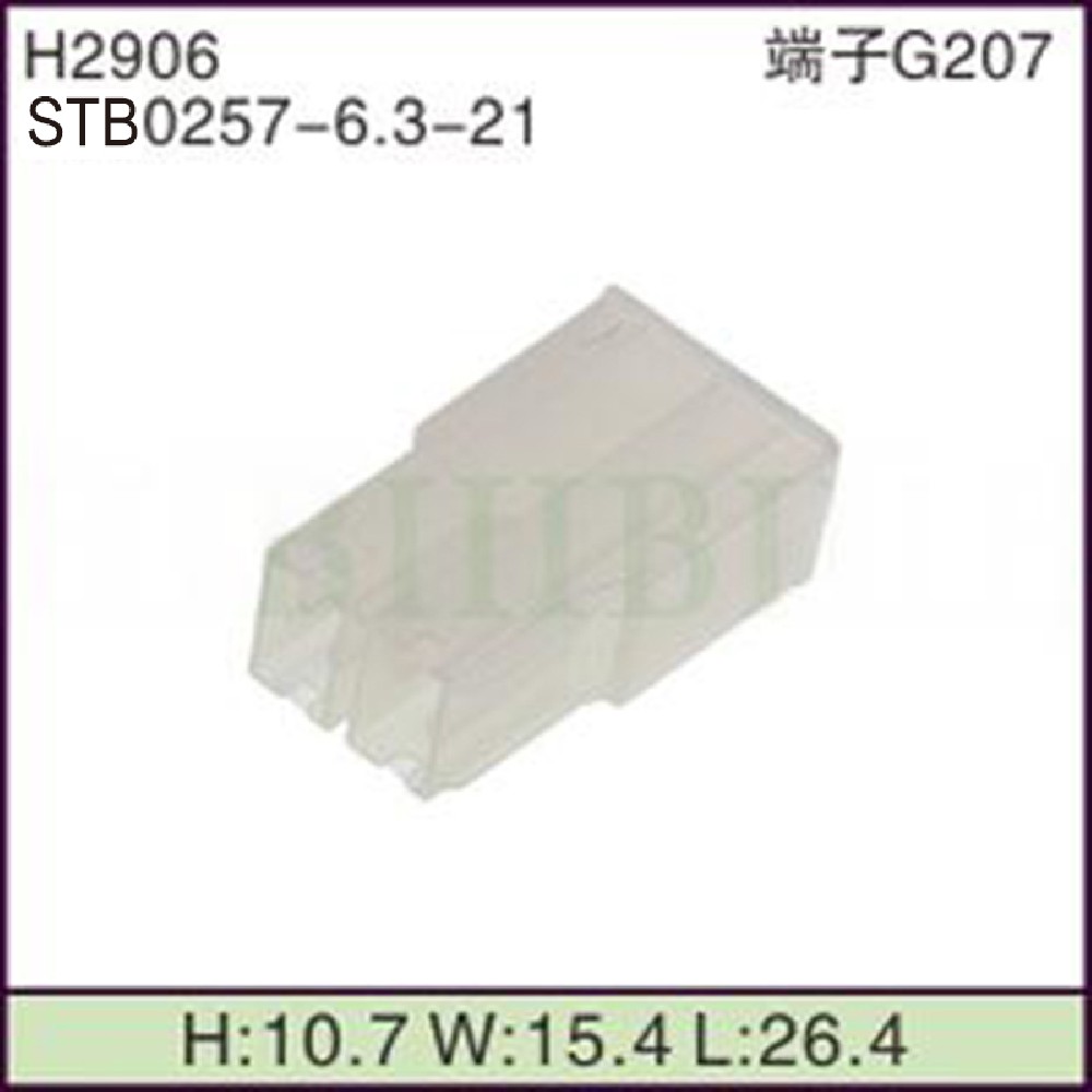 STB0257-6.3-21