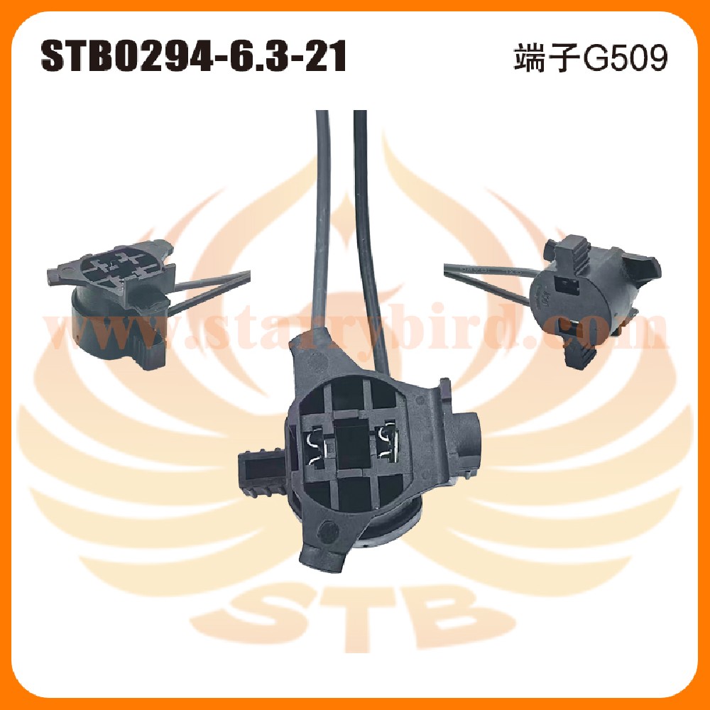 STB0294-6.3-21
