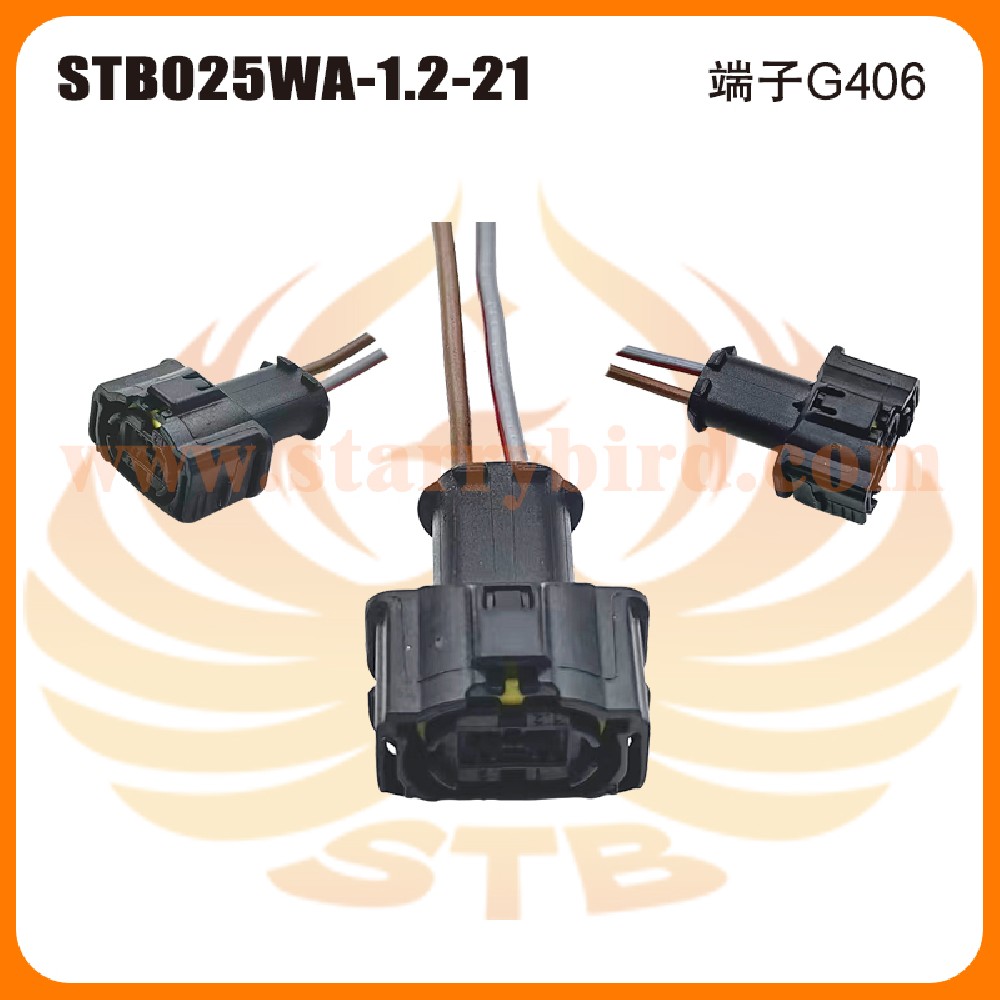 STB025WA-1.2-21