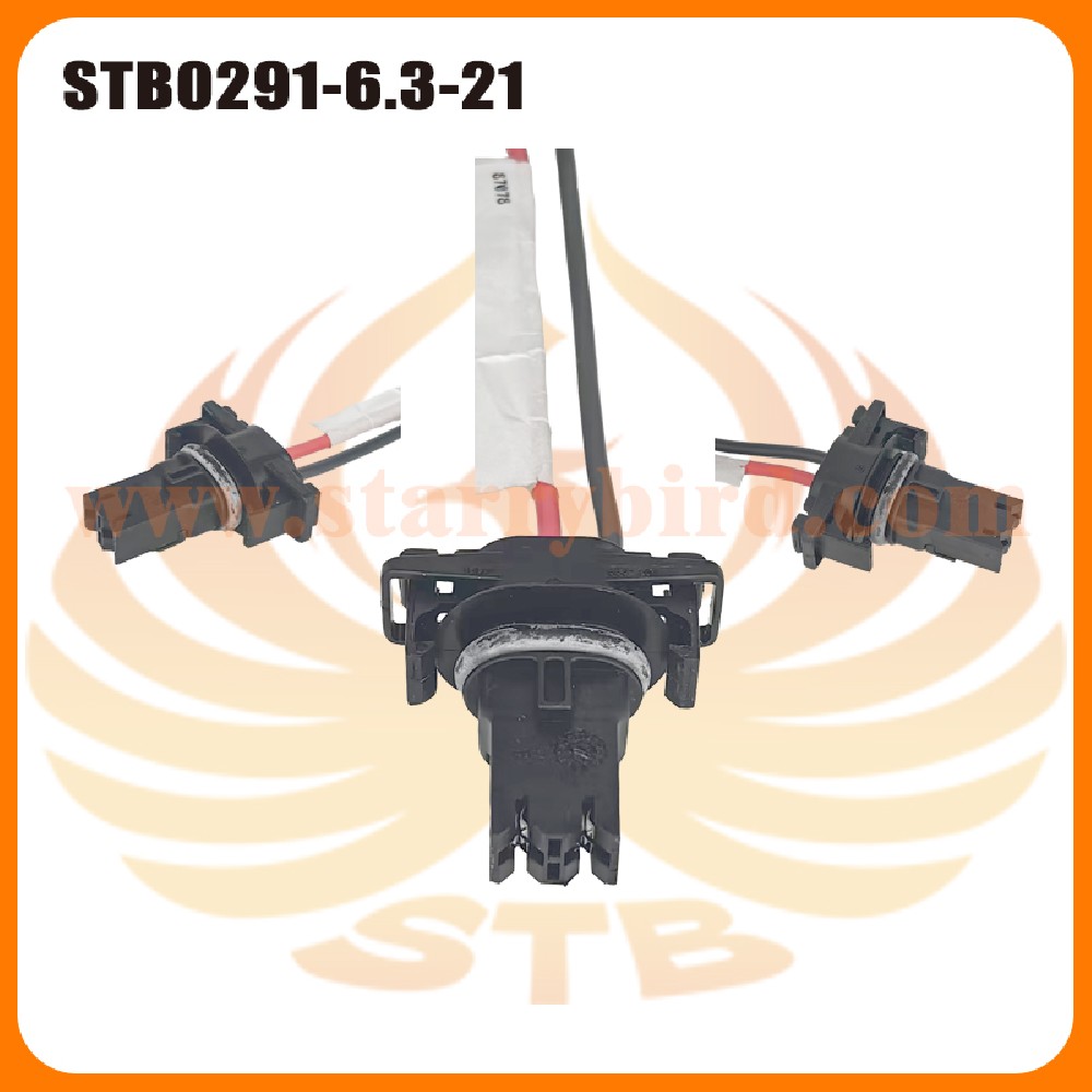 STB0291-6.3-21