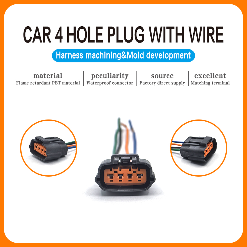 4 hole plug show