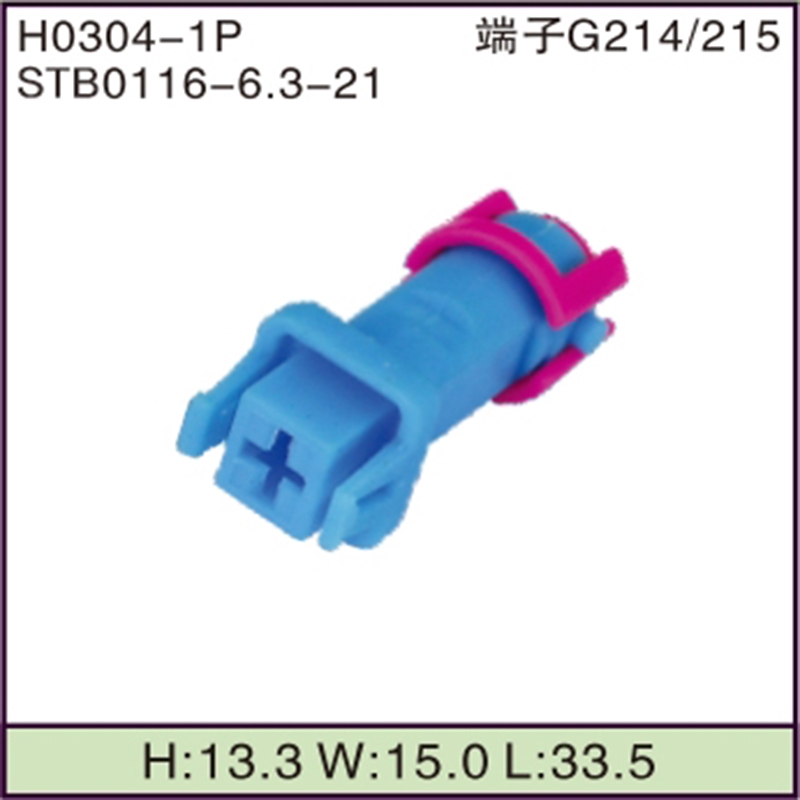 STB0116-6.3-21