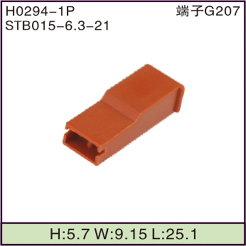 STB015-6.3-21
