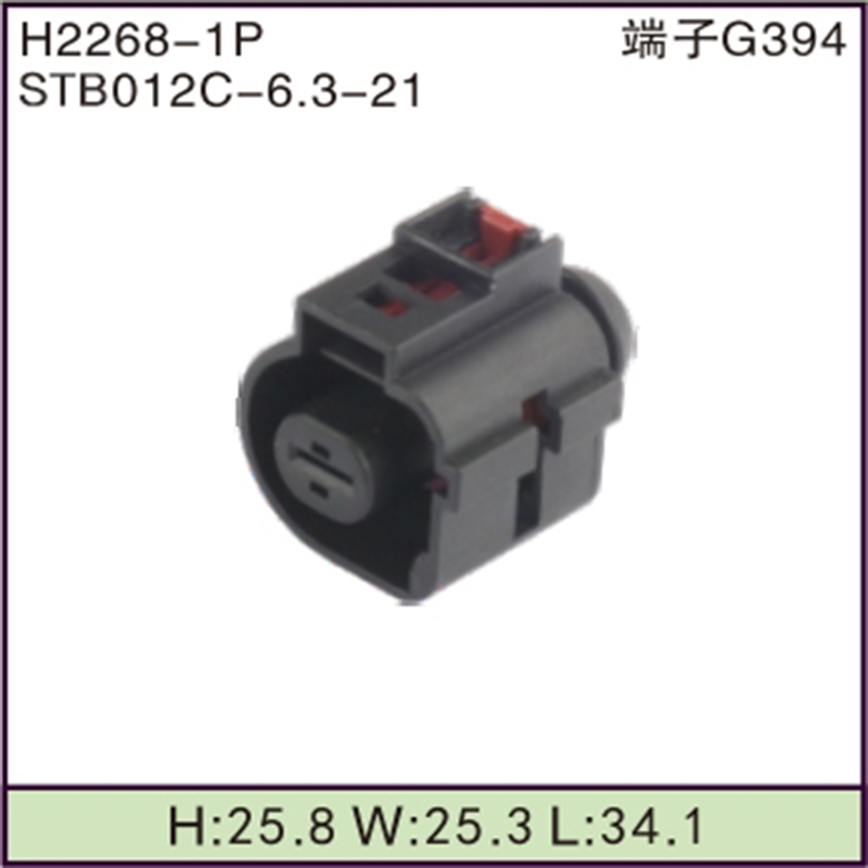 STB012C-6.3-21