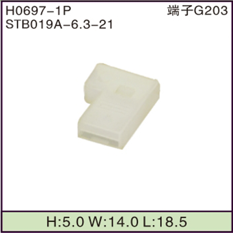 STB019A-6.3-21
