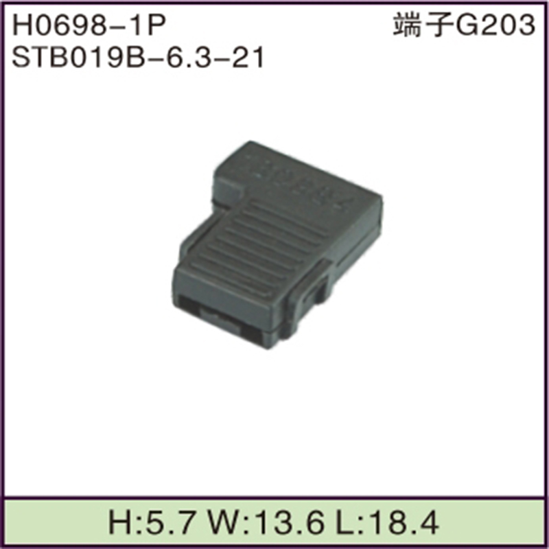 STB019B-6.3-21