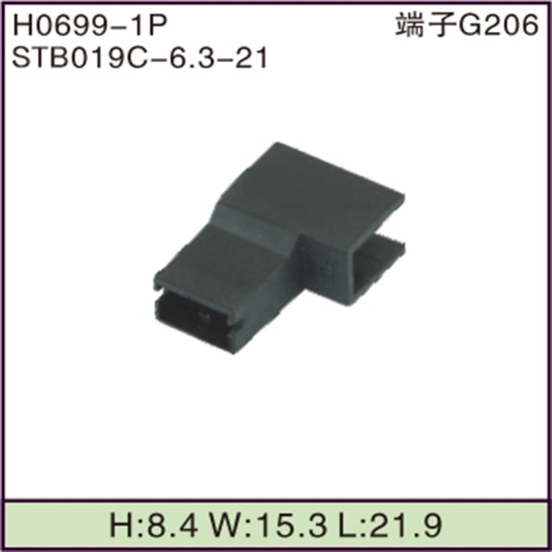 STB019C-6.3-21