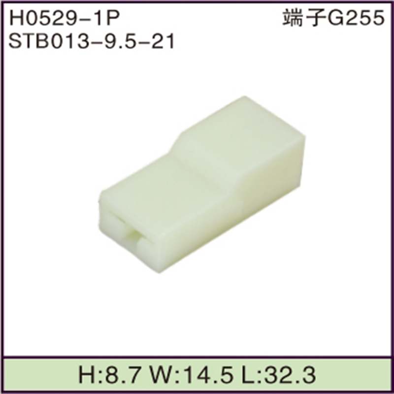 STB013-9.5-21