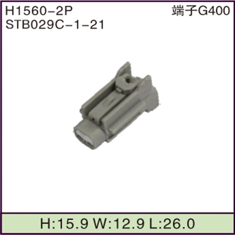 STB029C-1-21