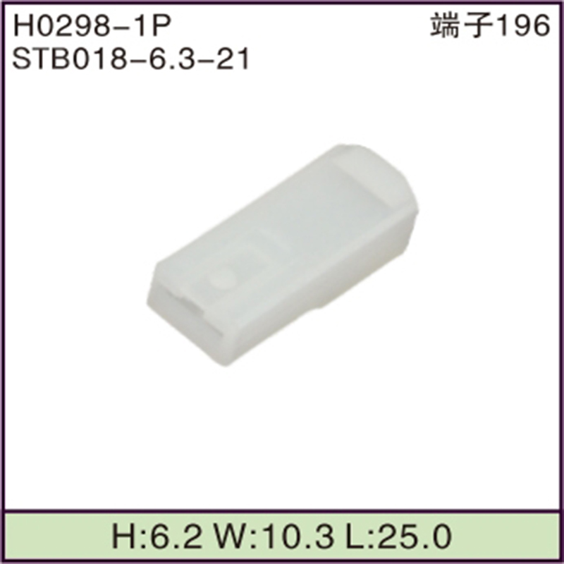 STB018-6.3-21