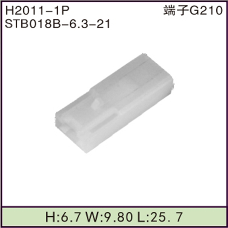 STB018B-6.3-21