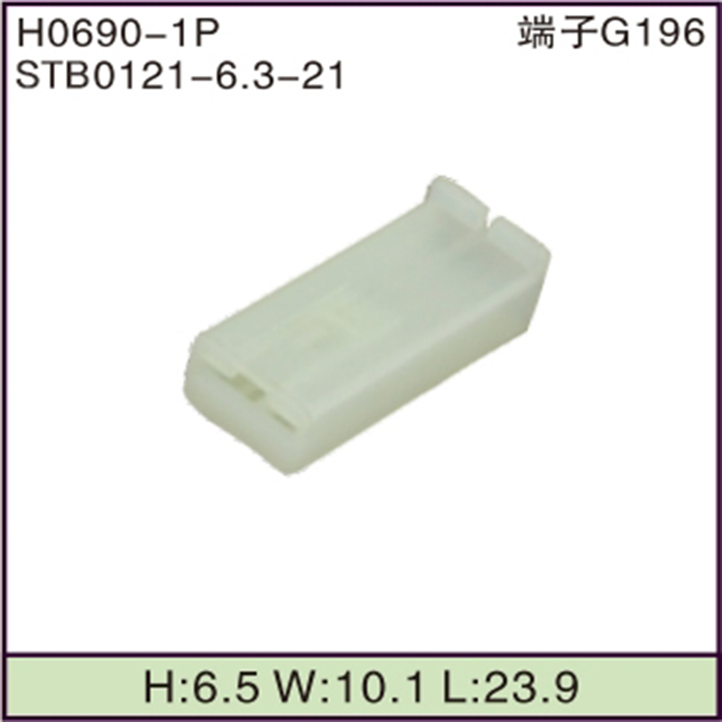 STB0121-6.3-21