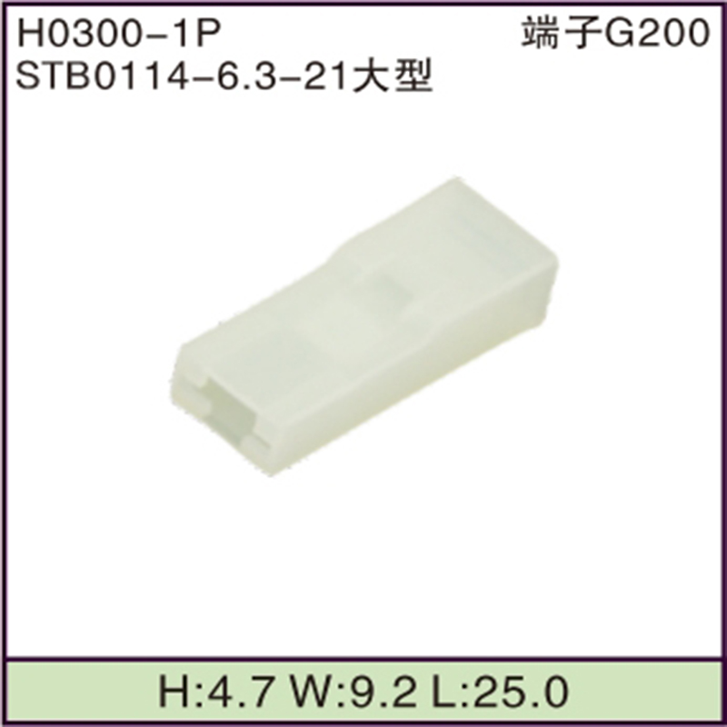 STB0114-6.3-21大型
