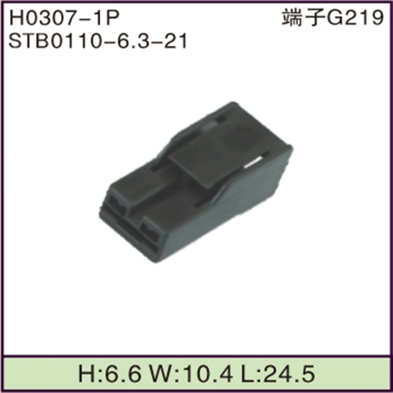 STB0110-6.3-21