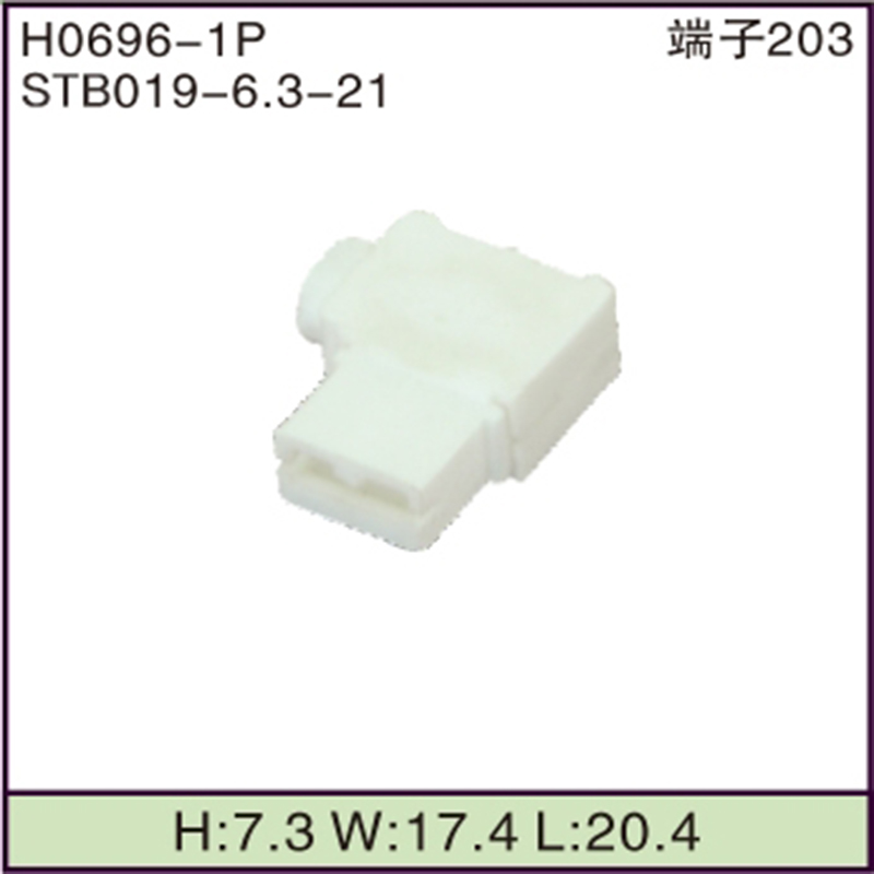 STB019-6.3-21