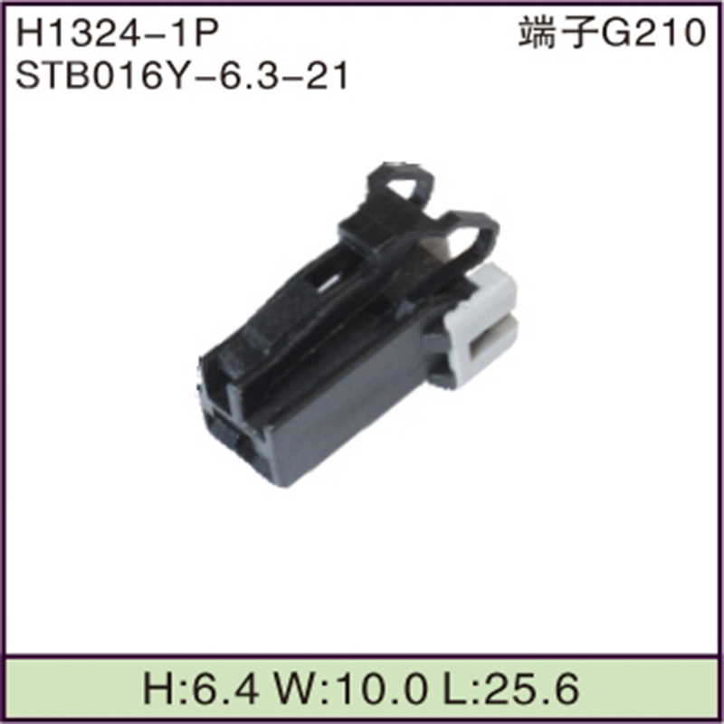 STB016Y-6.3-21