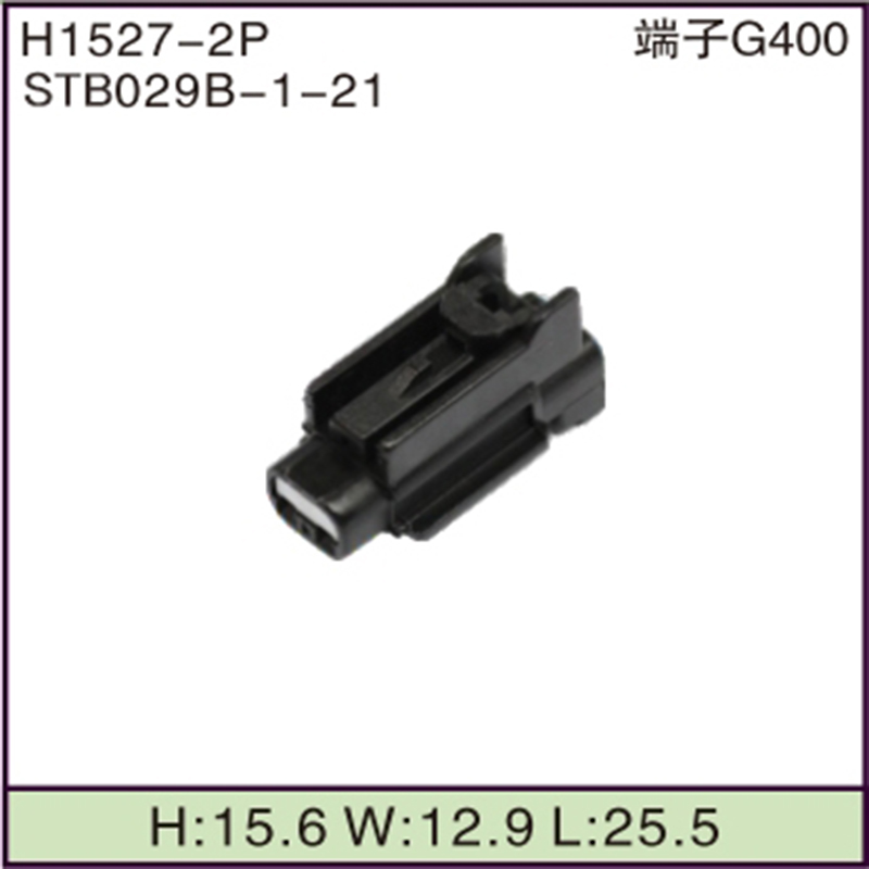 STB029B-1-21