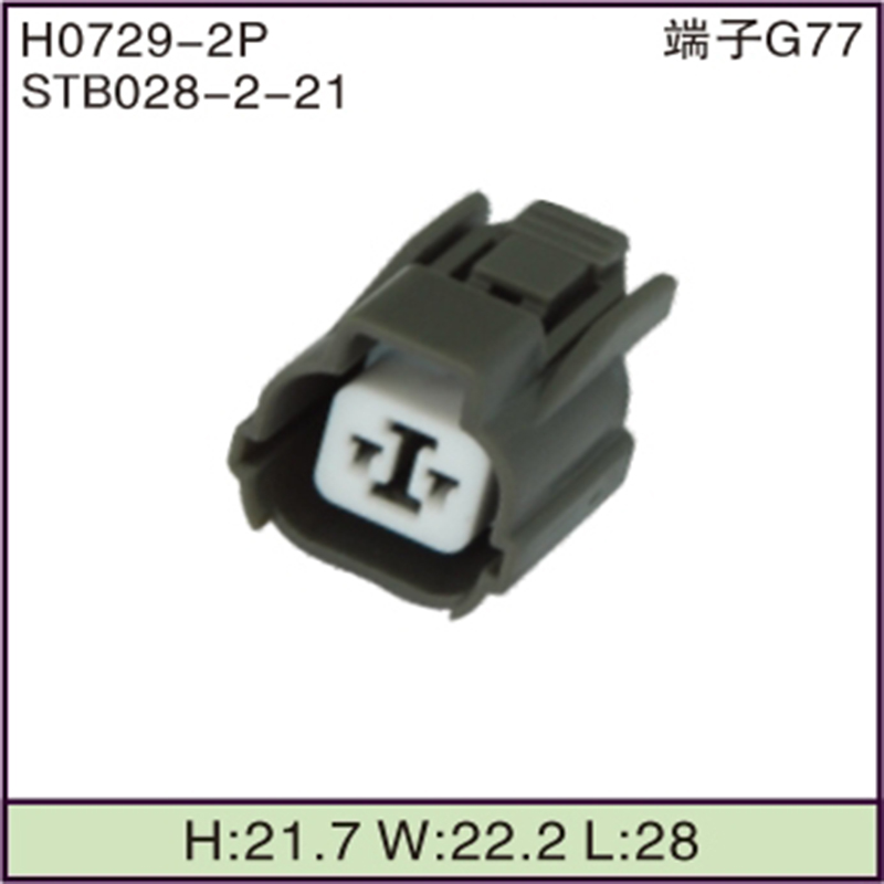 STB028-2-21