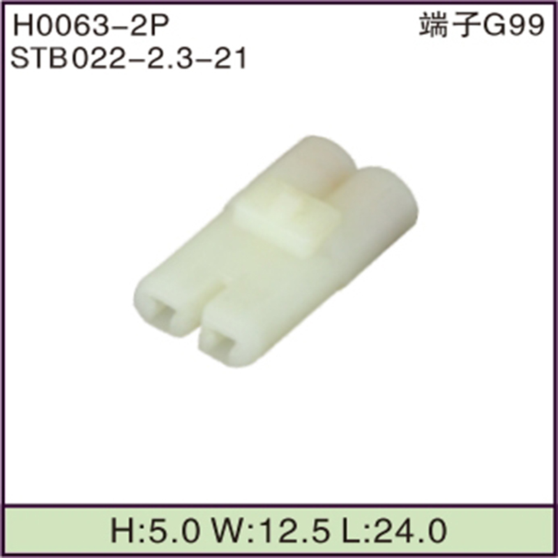 STB022-2.3-21