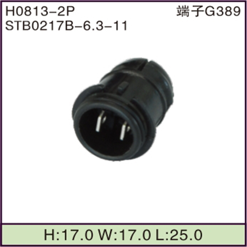 STB0217B-6.3-11