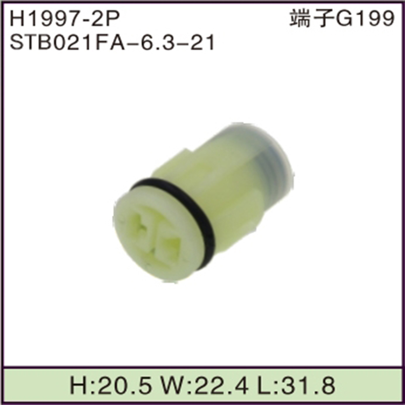 STB021FA-6.3-21