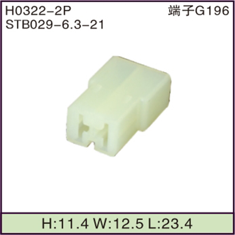 STB029-6.3-21
