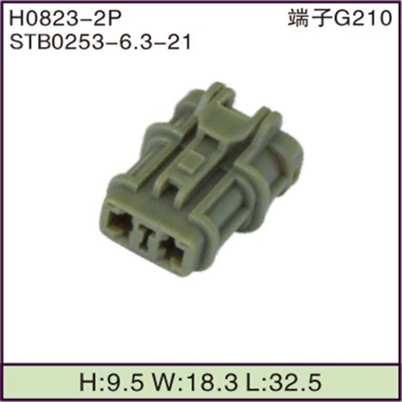 STB0253-6.3-21