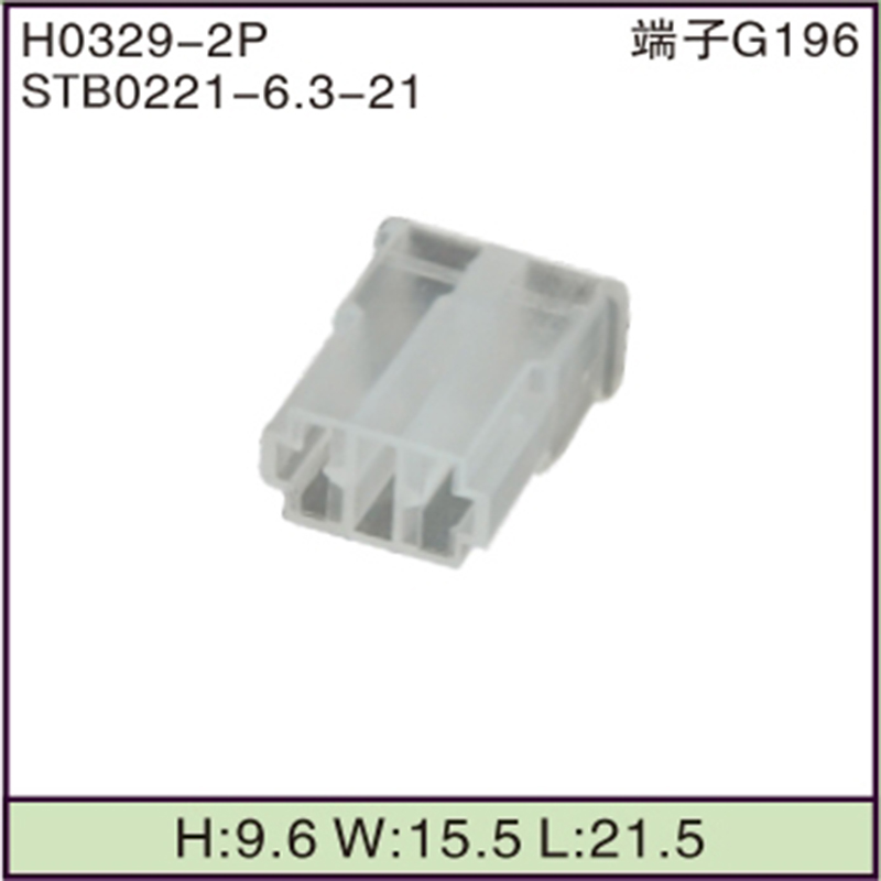 STB0221-6.3-21